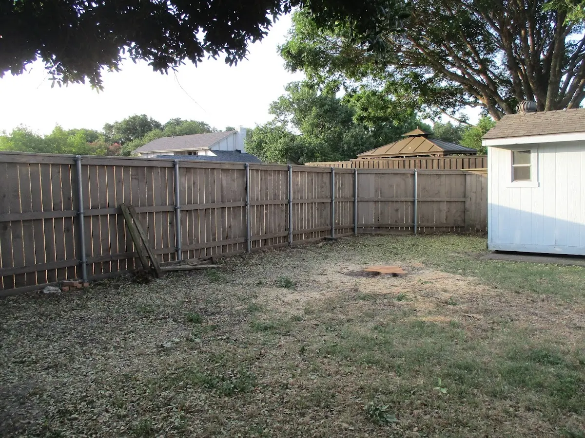 Cleared yard after professional tree removal in Sangerfield